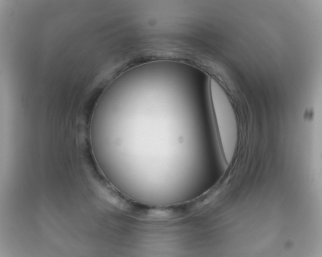 X0000091930457200709051244