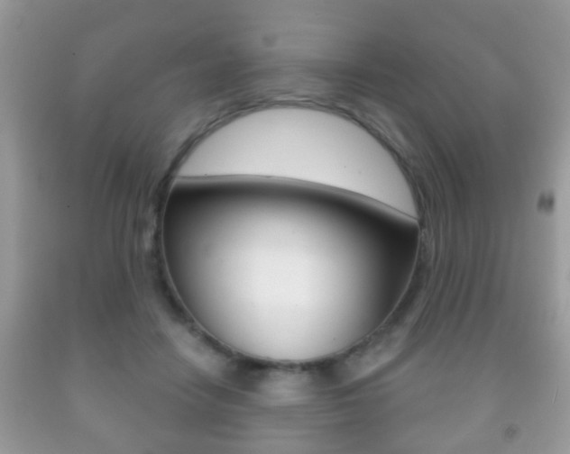 X0000091930458200709051244