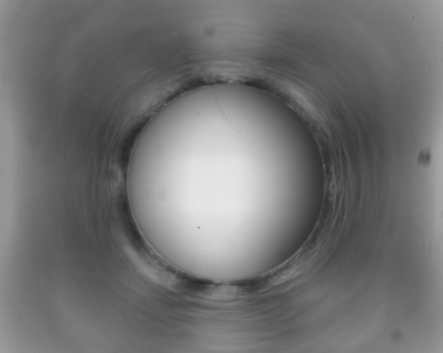 X0000091930459200709051244