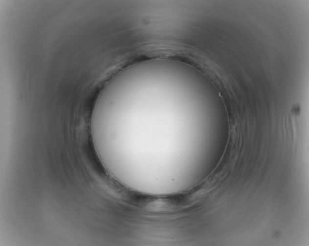 X0000091930460200709051244