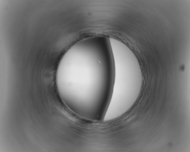 X0000091930462200709051245