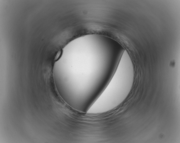 X0000091930463200709051245