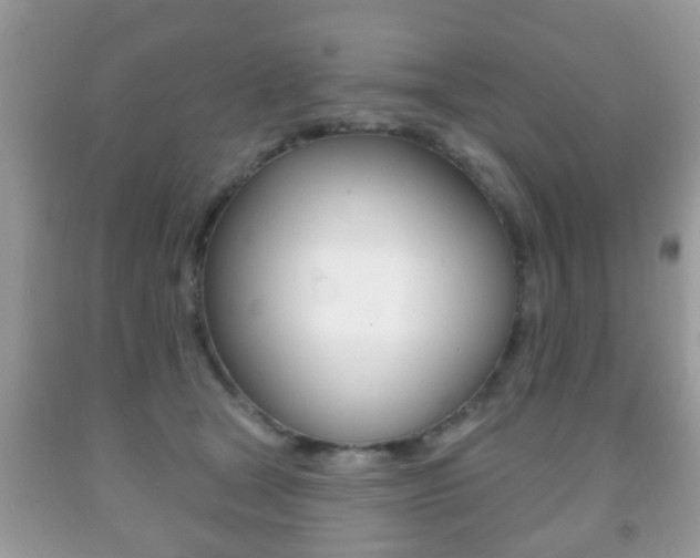 X0000091930465200709051245