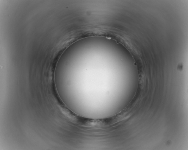X0000091930466200709051245