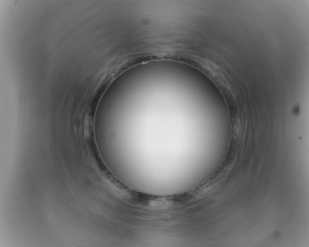 X0000091930470200709051245
