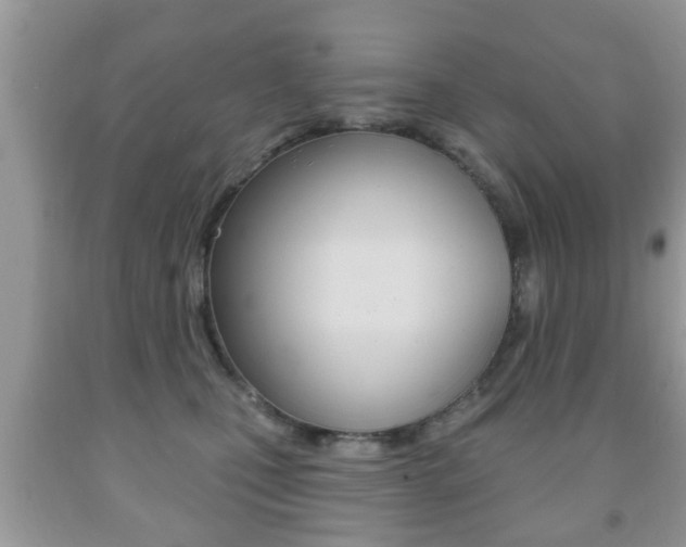 X0000091930471200709051245