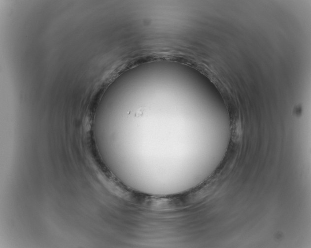 X0000091930472200709051245