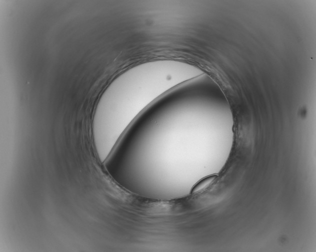 X0000091930473200709051245