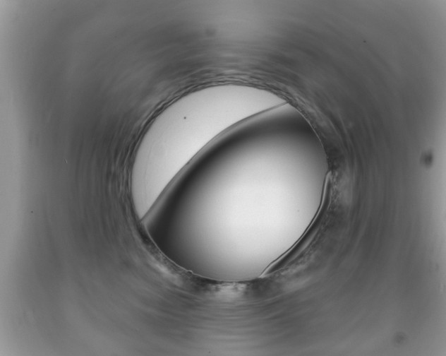 X0000091930474200709051245