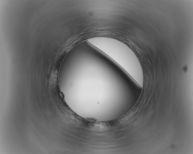 X0000091930475200709051245