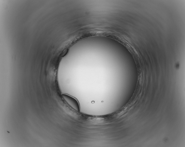 X0000091930476200709051245