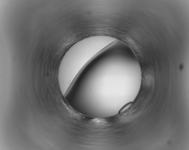 X0000091930477200709051245