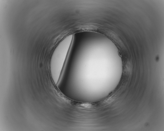 X0000091930478200709051245