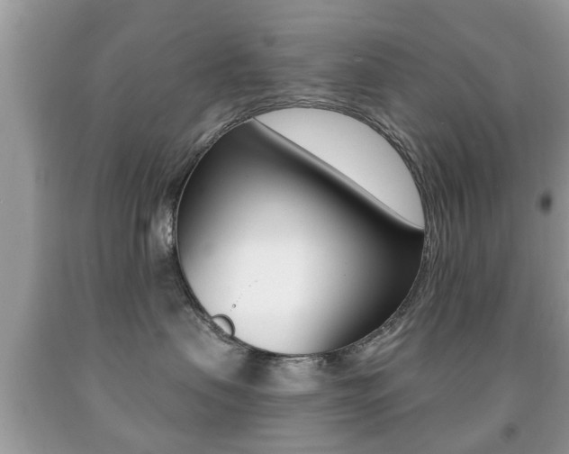 X0000091930479200709051245