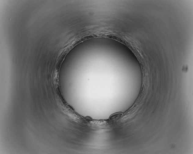 X0000091930480200709051245