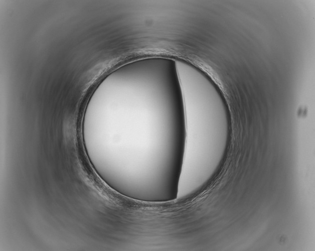 X0000091930482200709051244