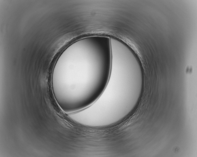 X0000091930483200709051244