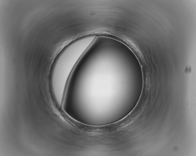 X0000091930485200709051244