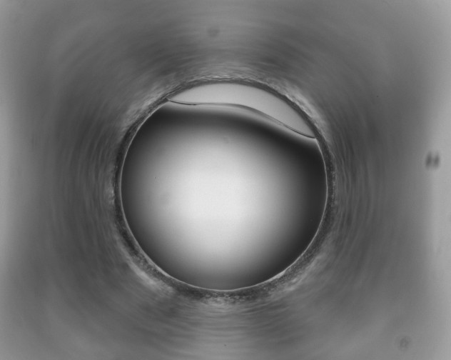 X0000091930489200709051244