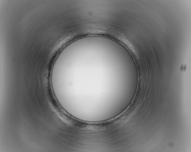 X0000091930490200709051244