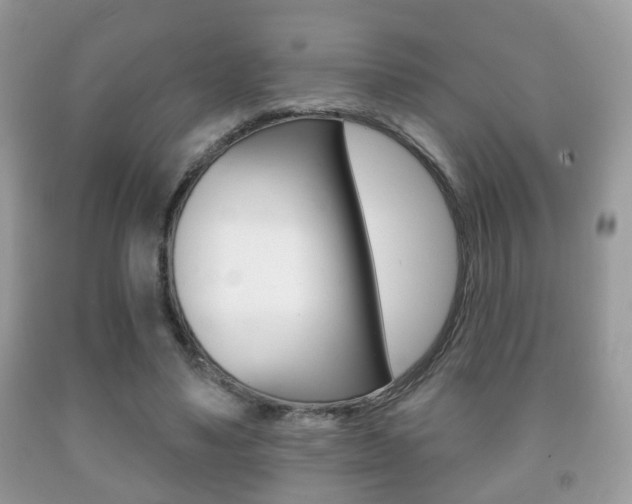 X0000091930491200709051244