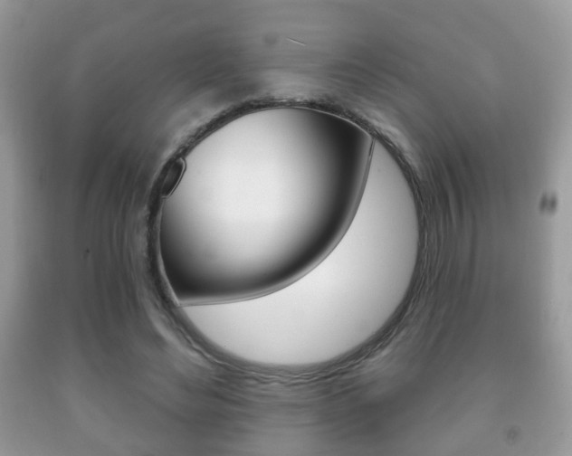 X0000091930492200709051244