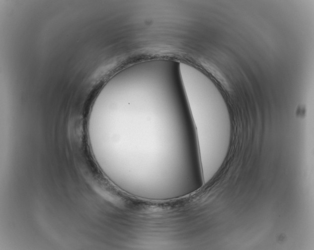 X0000091930494200709051244