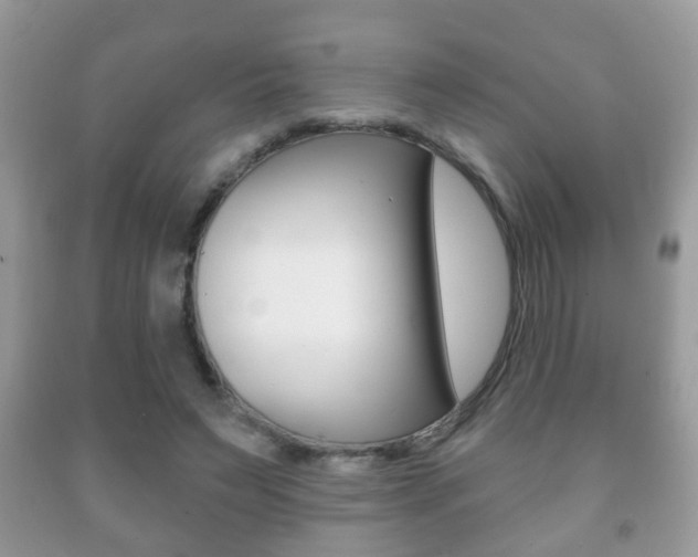 X0000091930495200709051244