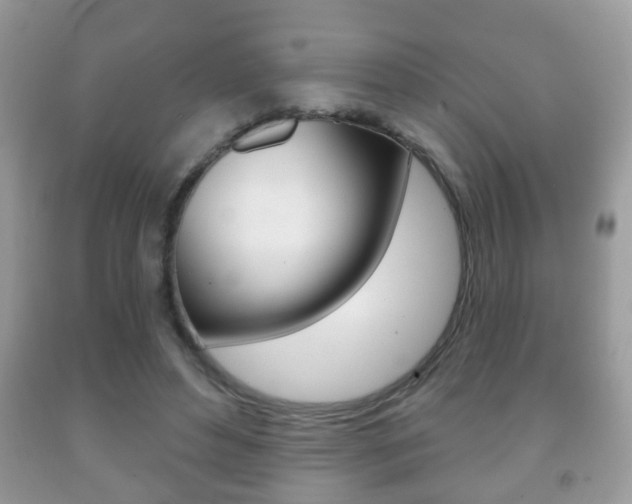 X0000091930496200709051244