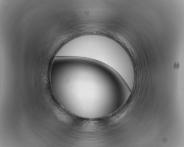 X0000091930497200709051244