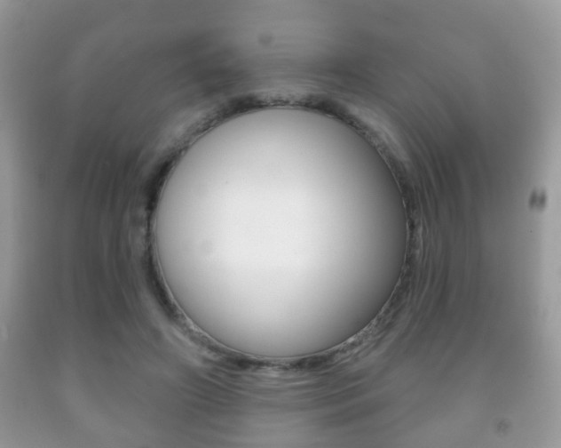 X0000091930498200709051244