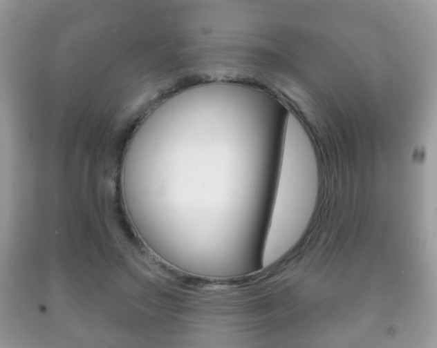 X0000091930499200709051244