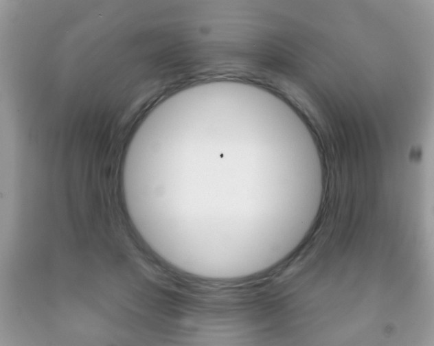 X0000091930501200709051244