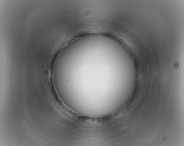 X0000091930502200709051244
