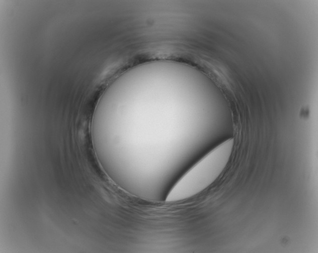 X0000091930503200709051244