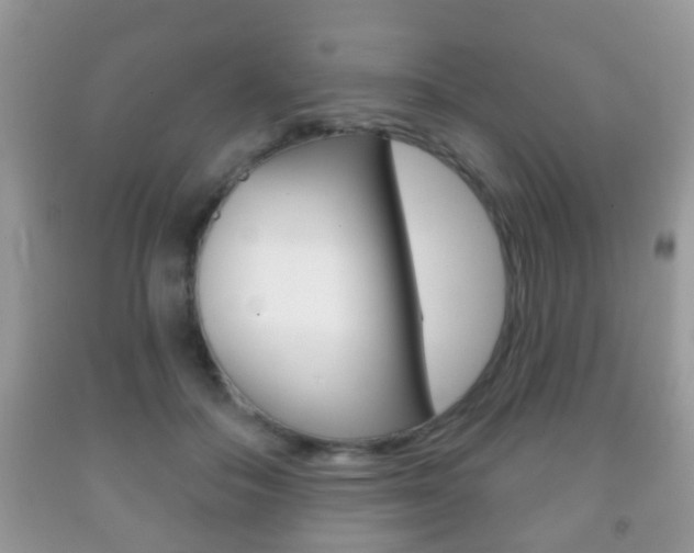 X0000091930506200709051244