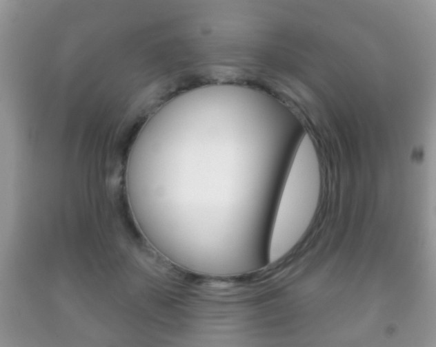 X0000091930507200709051244