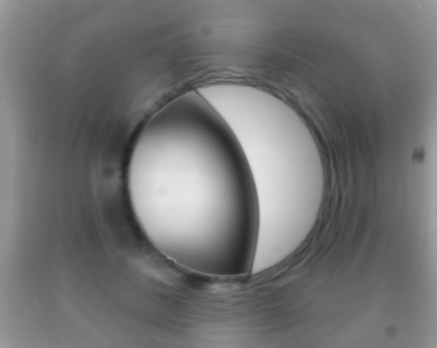 X0000091930508200709051244