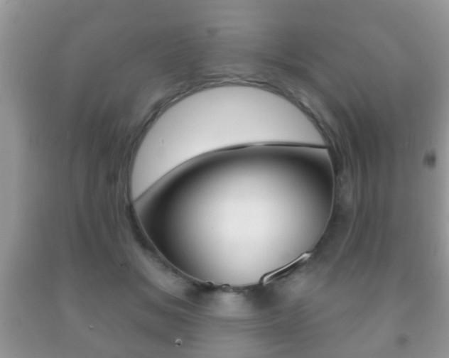 X0000091930509200709051244