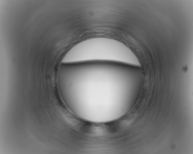 X0000091930510200709051244