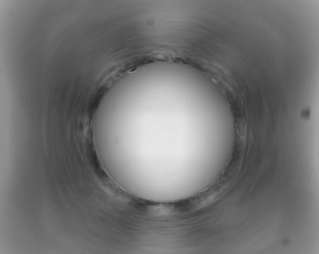 X0000091930511200709051244