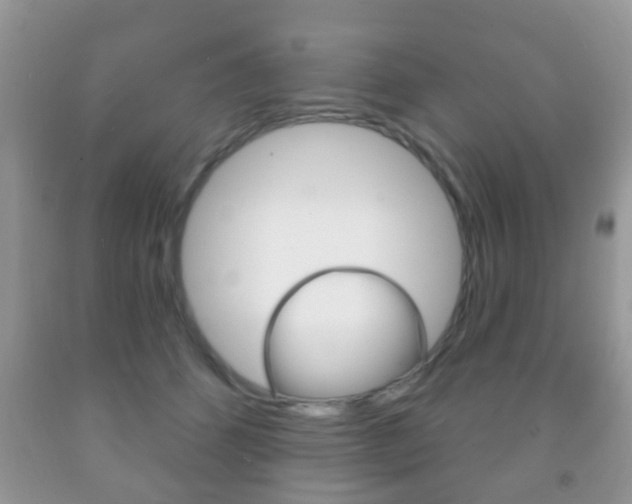 X0000091930512200709051244