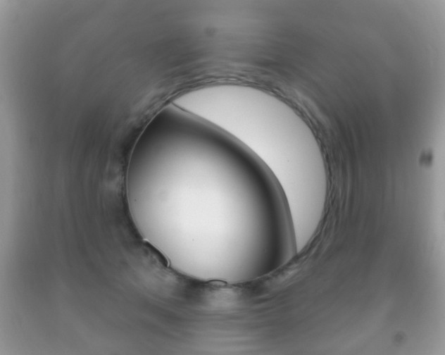 X0000091930513200709051244