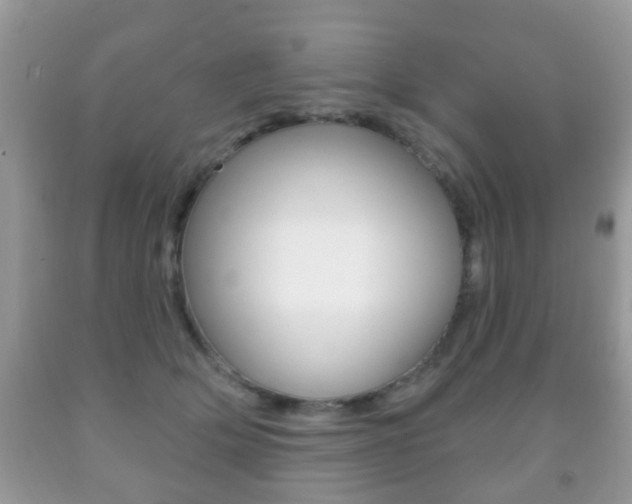 X0000091930514200709051244