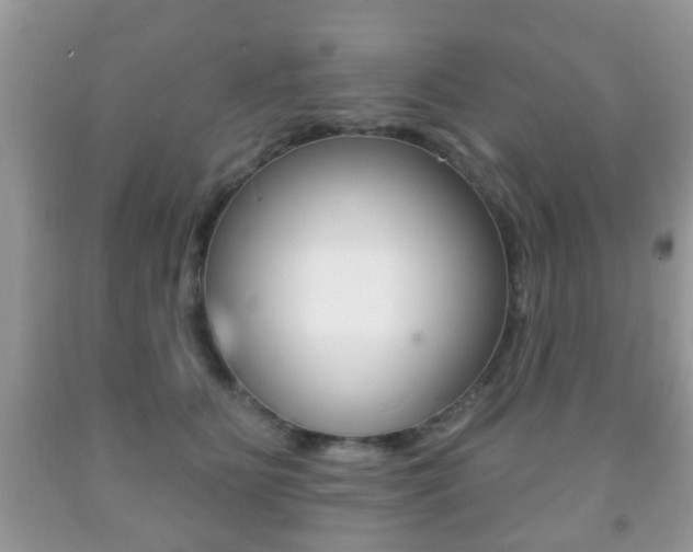 X0000091930515200709051244