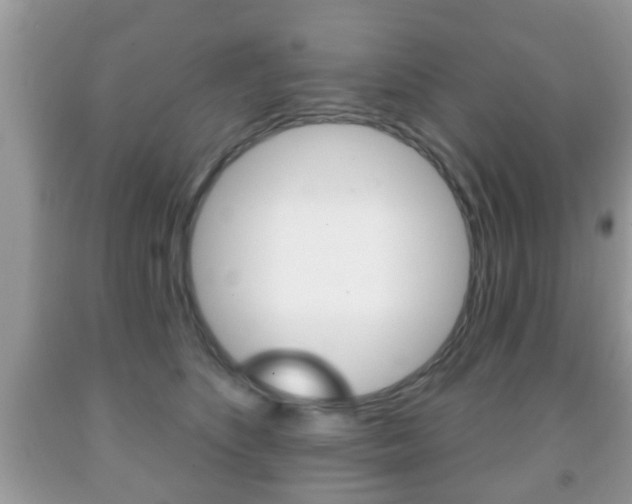 X0000091930516200709051244
