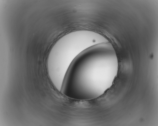 X0000091930517200709051244