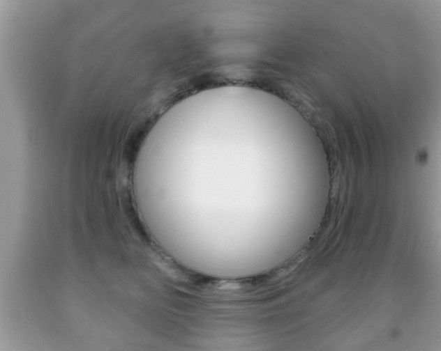 X0000091930518200709051244