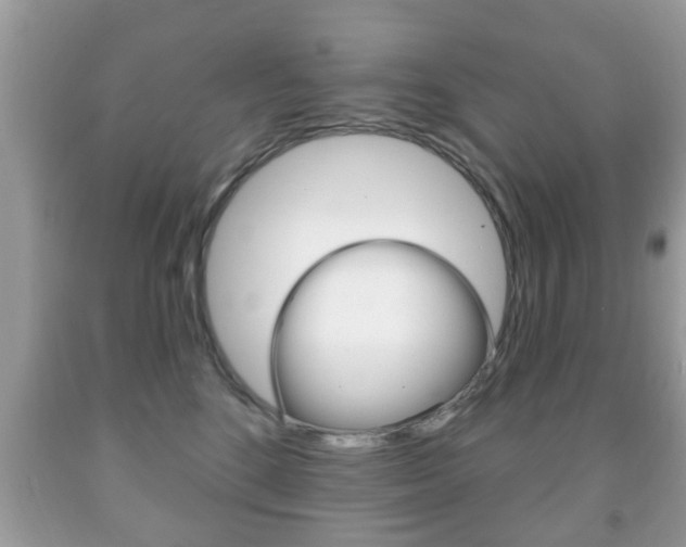 X0000091930520200709051244