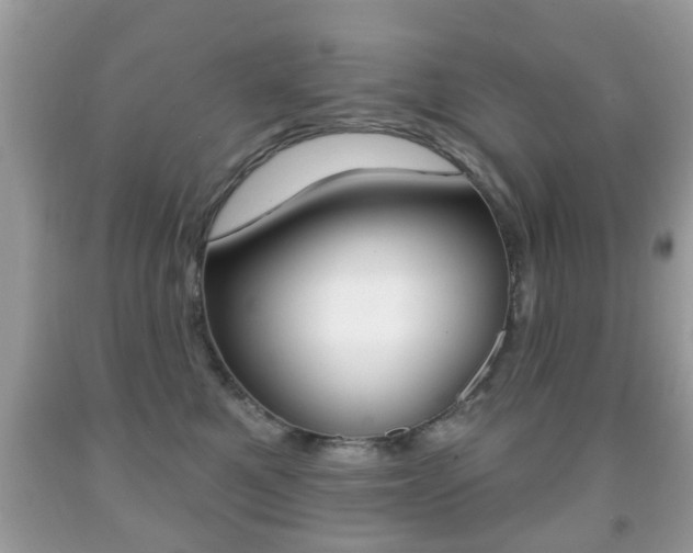 X0000091930521200709051244